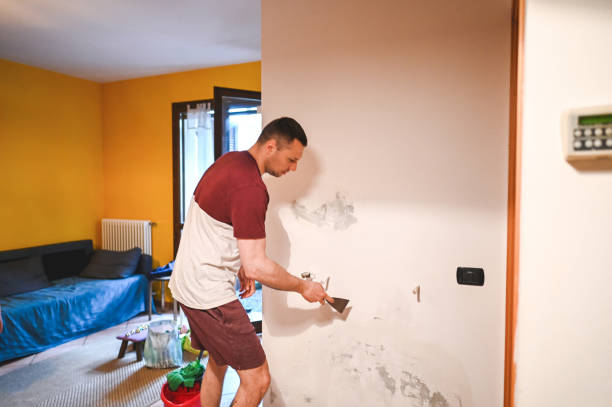 Best Industrial Mold Remediation in Leominster, MA